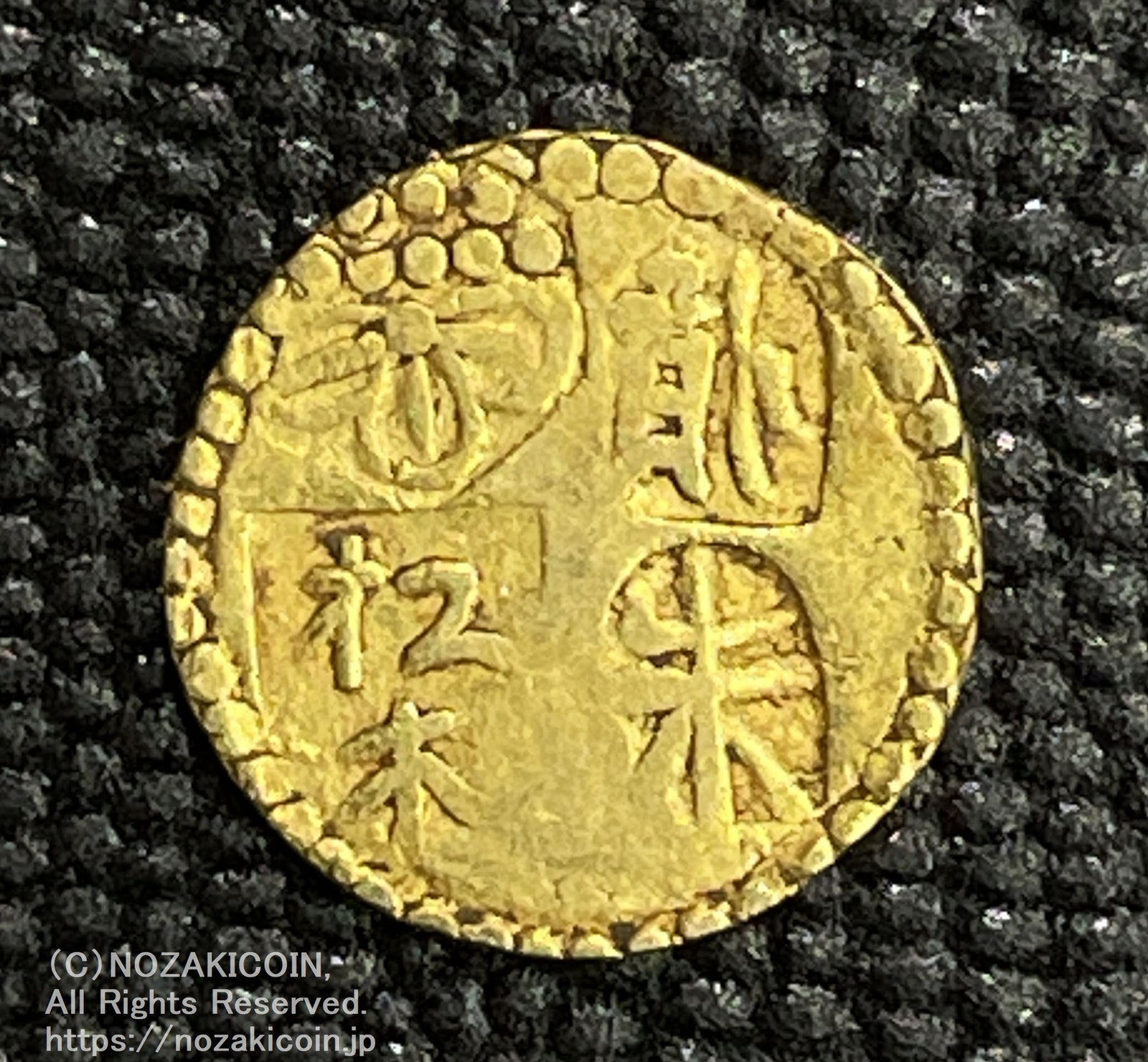 IMG_6596_1600x.jpg?v=1710413501