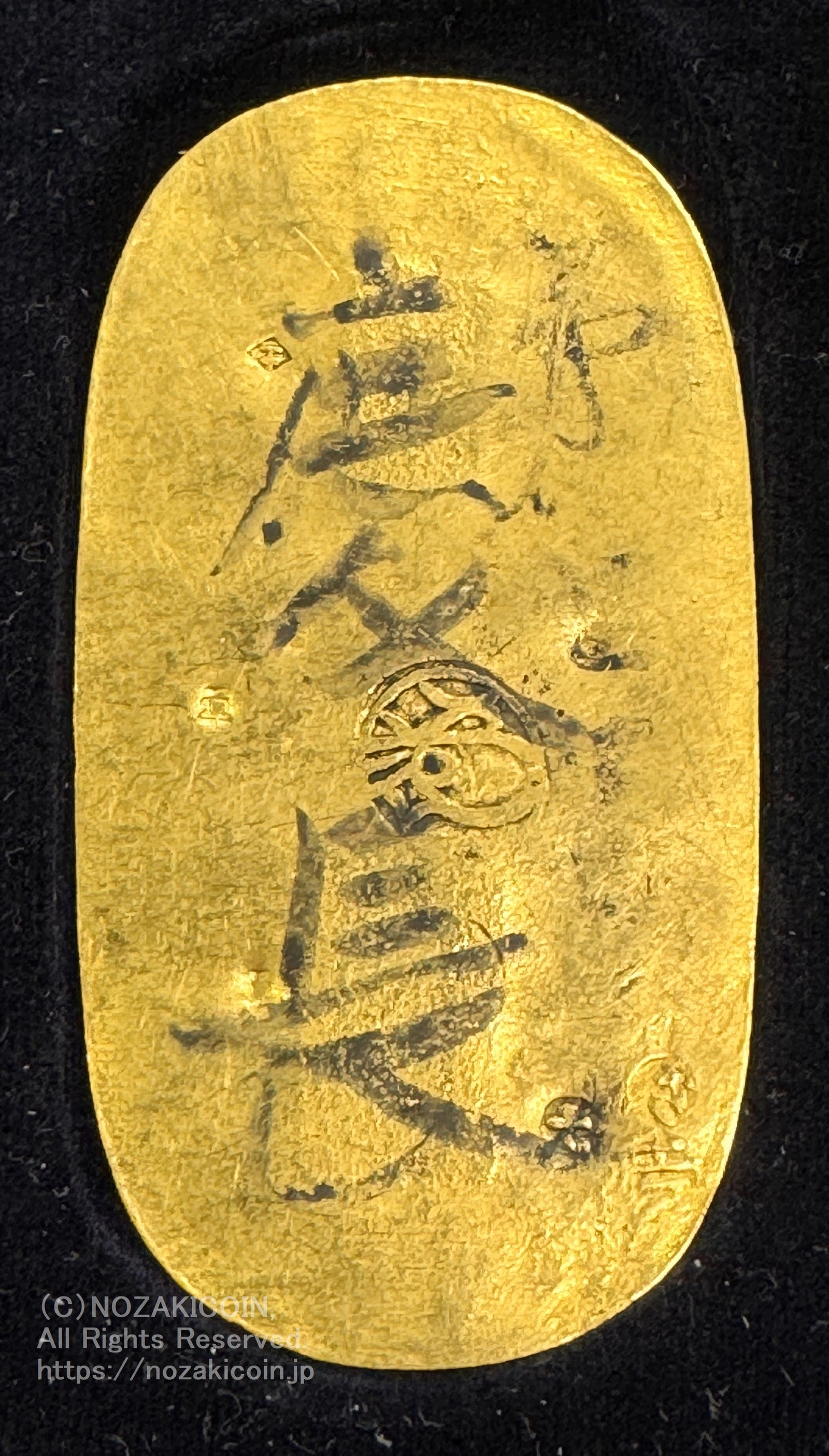 IMG_8883_1600x.jpg?v=1725428436