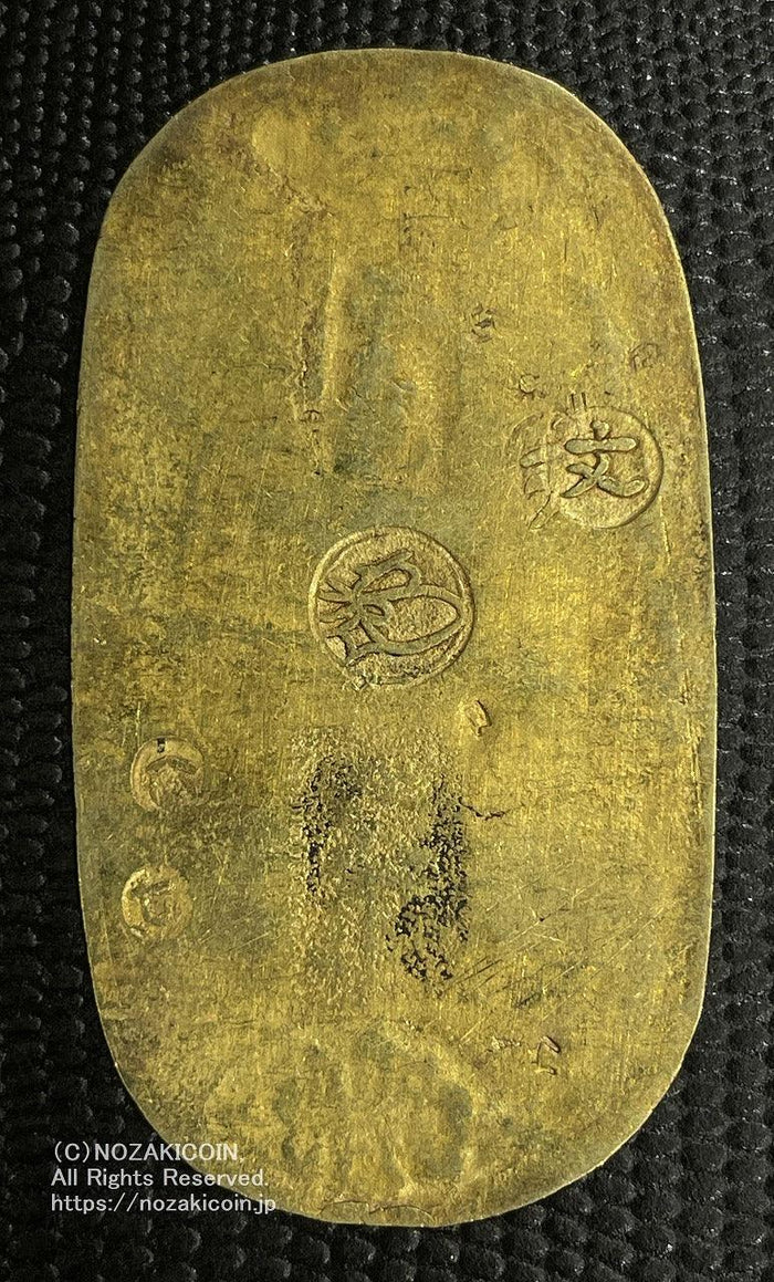 IMG_3110_700x.jpg?v=1689655910