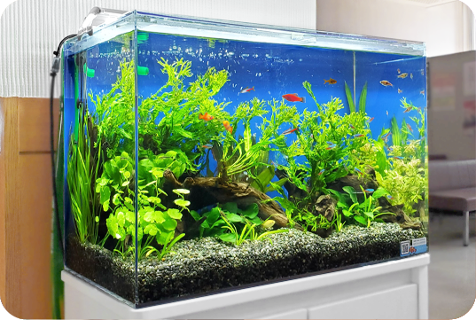 個人宅様 両方お楽しみいただけるアクアテラリウム｜奈良アクアガーデン