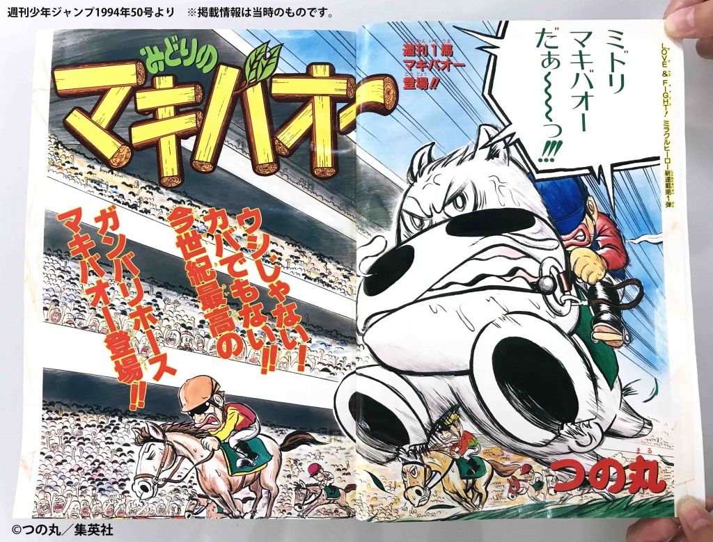 ジャンプ50周年 ジャンプ展 オールスターカードコレクション みどりの