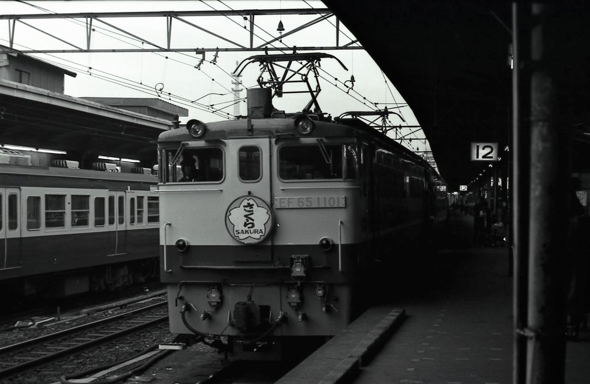 1列車「さくら」の先頭に立つEF65 1101 ＃EF651101 ＃さくら ＃ブルー