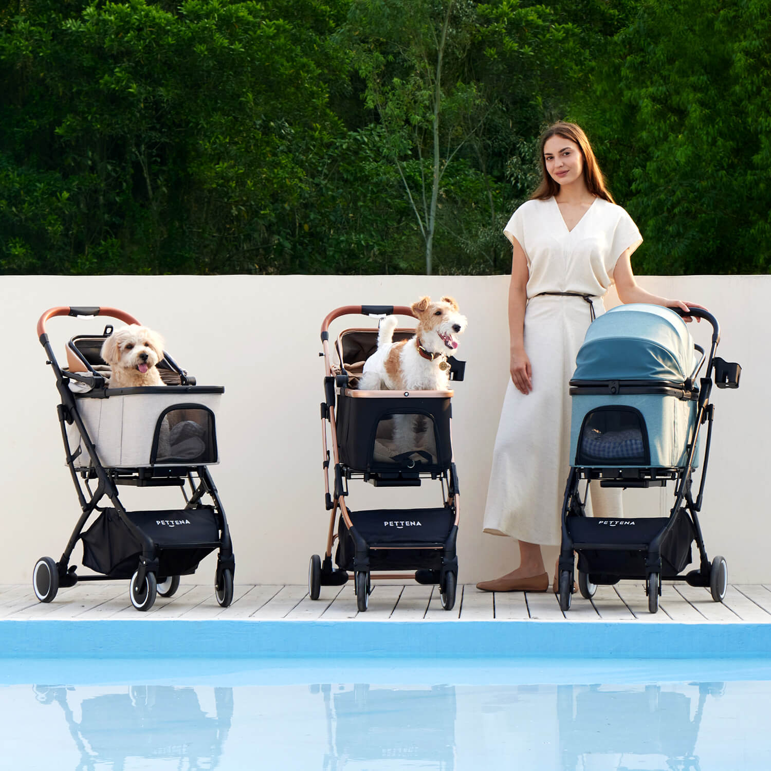 コスパ最強4WAY】KNIGHTペットカート｜多頭飼い・小型犬・中型犬に快適