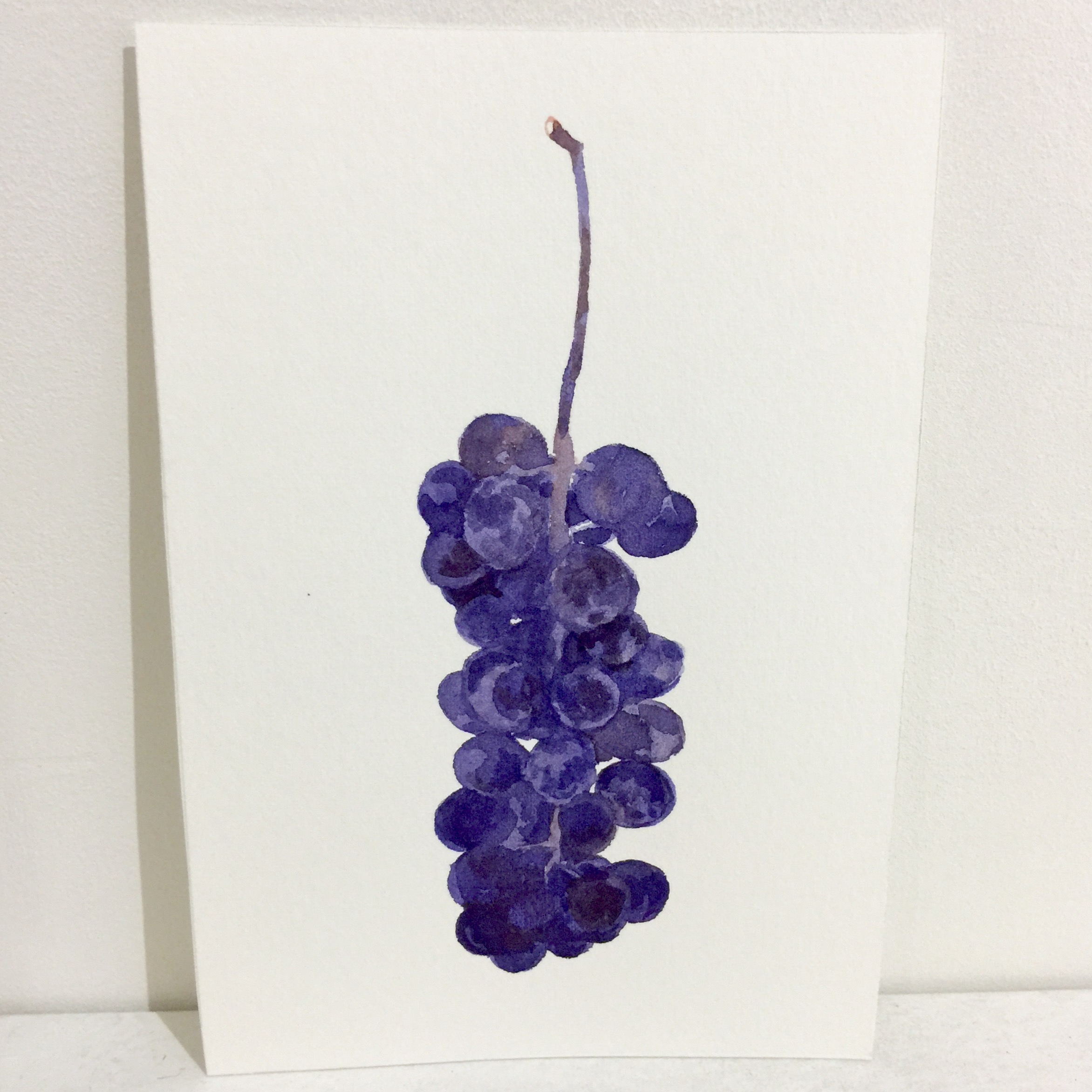 ぶどう – 東京のアートギャラリーピカレスク / Tokyo Art Gallery