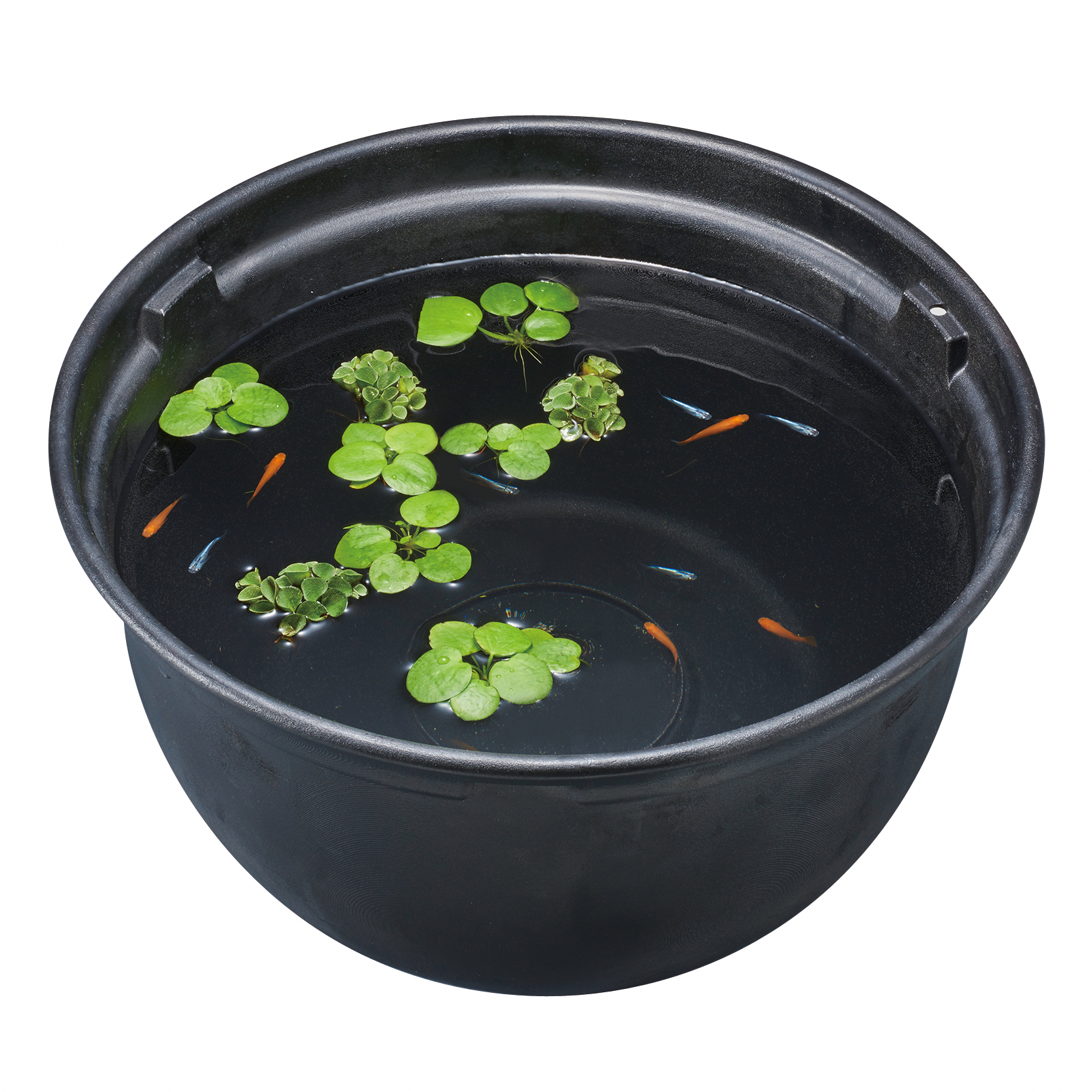 メダカ元気 メダカのための飼育鉢 黒 370 | ジェックス株式会社