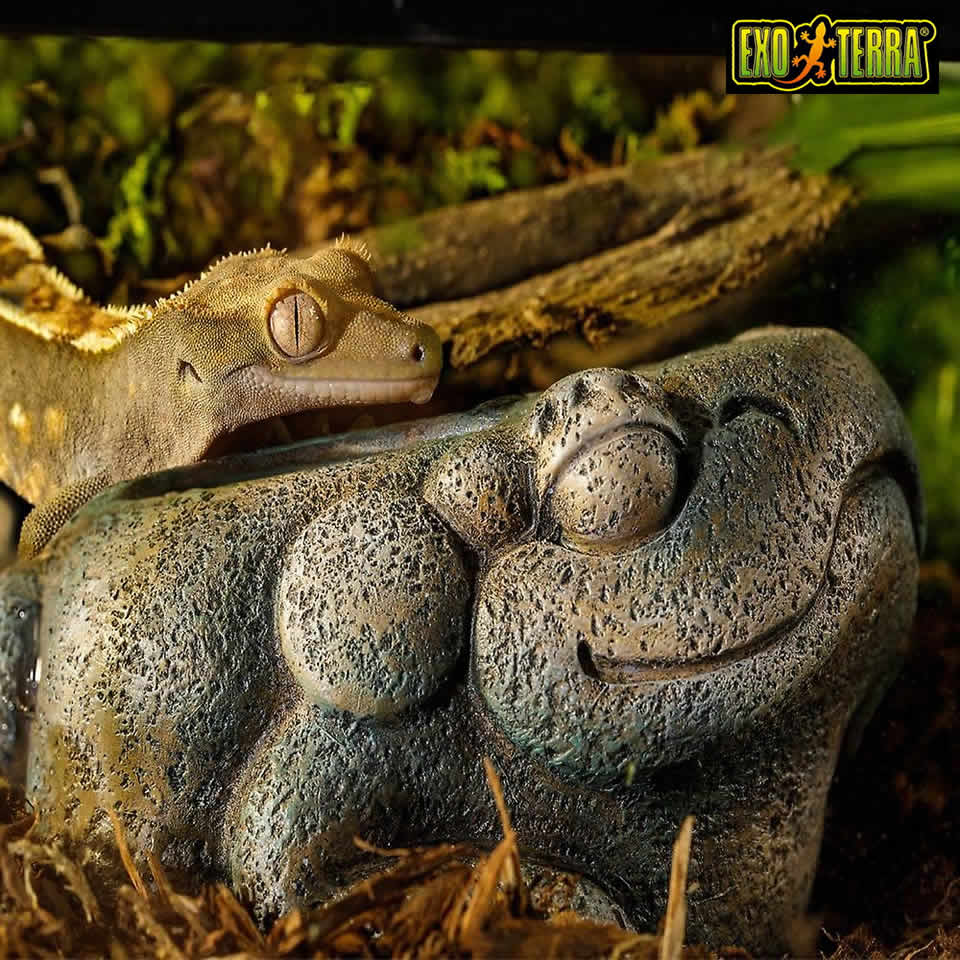 GEX グラステラリウム3045 PT2602｜アステカ限定キット｜廃盤・新品