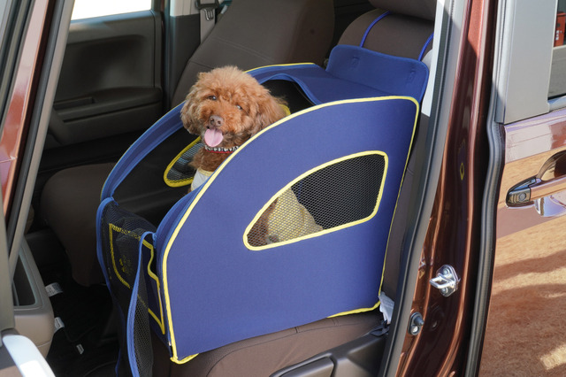 Honda純正アクセサリーメーカーの愛犬家だからこそ譲れない、安全