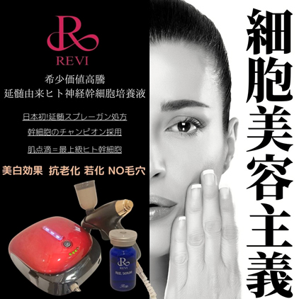 revi スプレーガン フェイスケアシステム REVI ルヴィ ハンディ