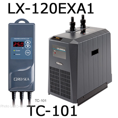 レイシーLX-120EXA1/LX-180EXA1/LX-250ESA1/LX-300ESB1【レヨンベール