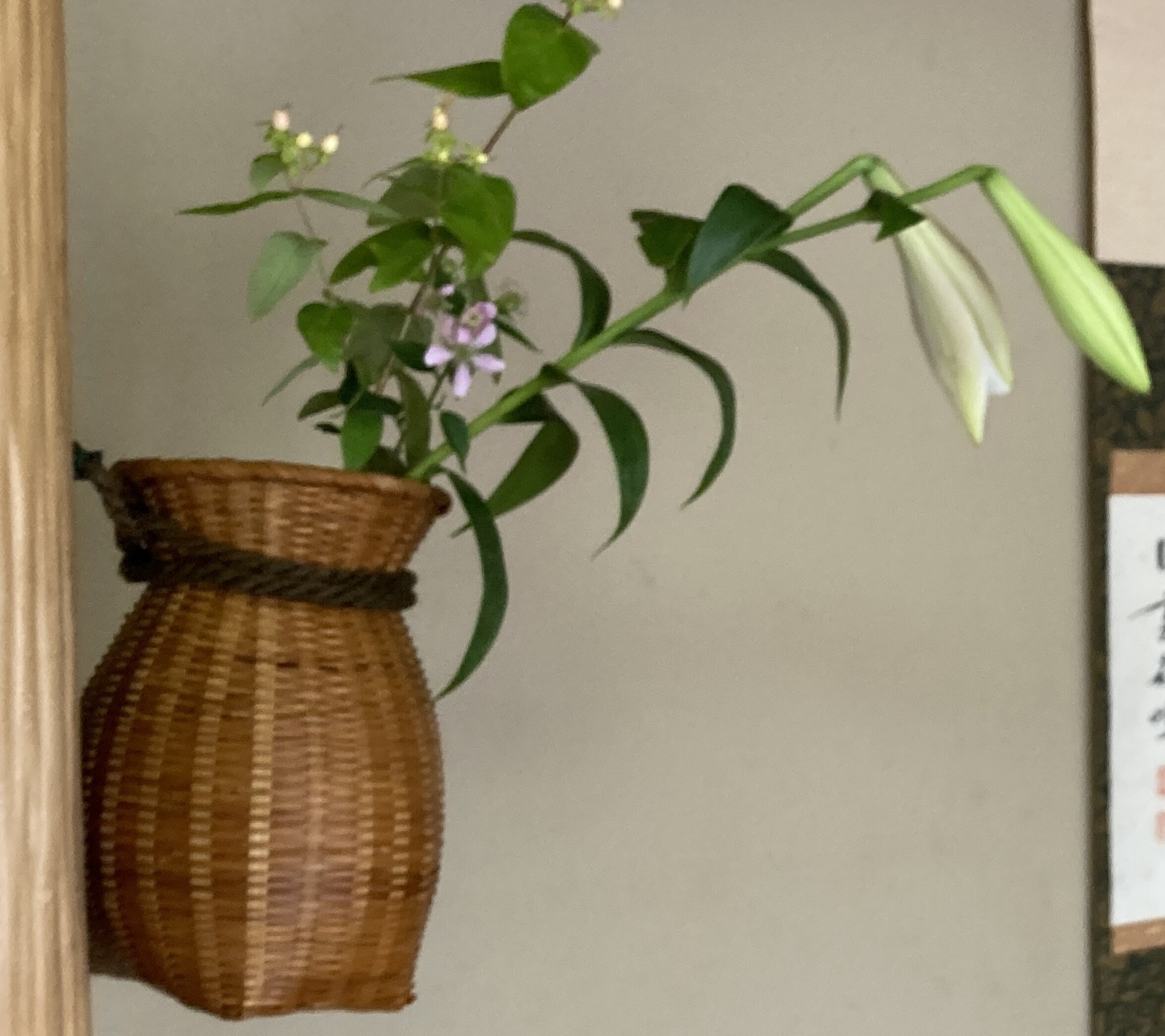 一器・一花・一菓 魚籠を見立ての花入に たっぷり濡らして｜最新情報