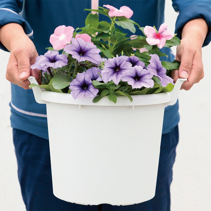 グロウコンテナ 40型｜種（タネ）,球根,苗,資材,ガーデニンググッズの