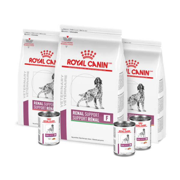 Royal Canin Veterinary Diet Canine Renal Support F Adult Dry Dog