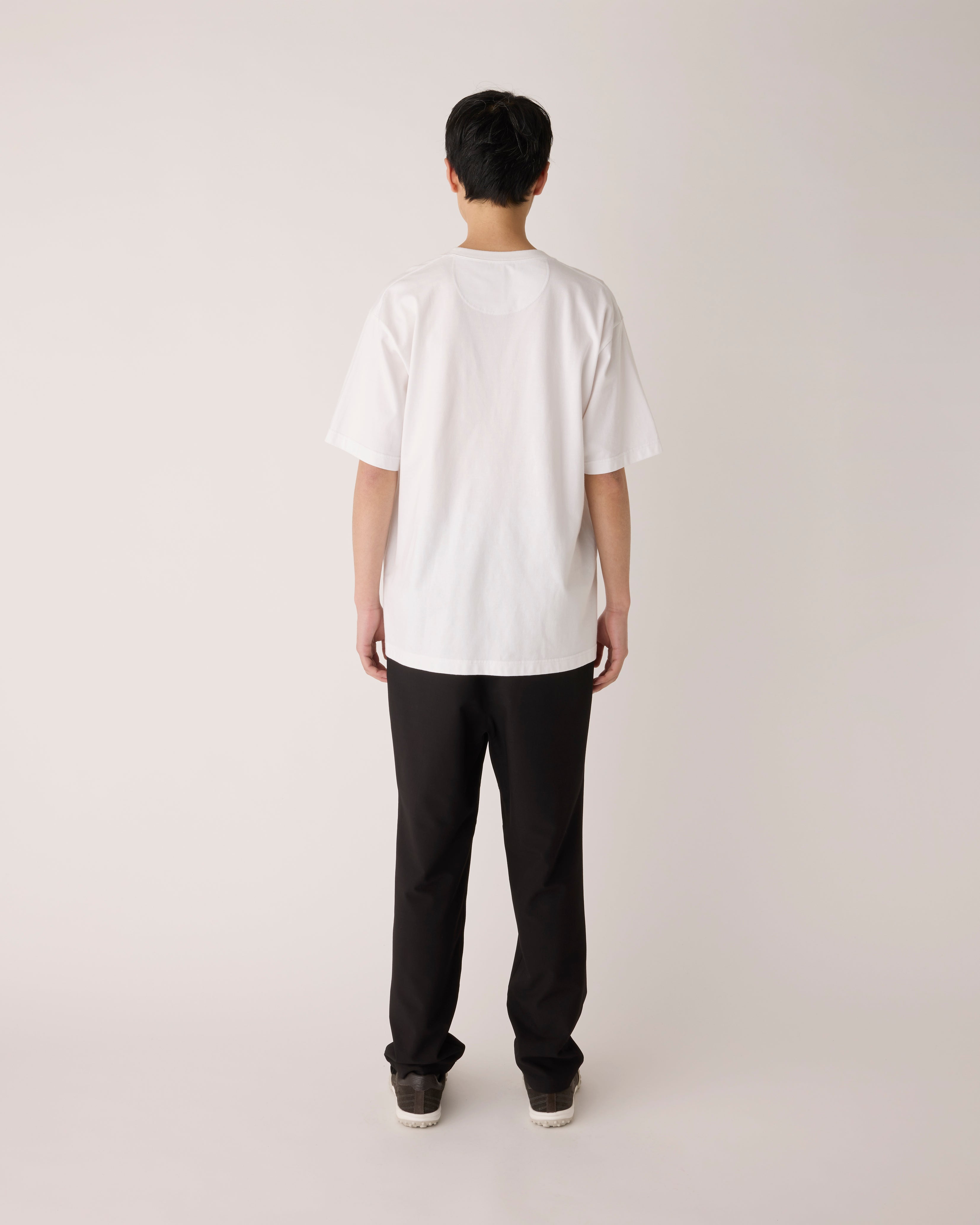 7961.jpg?v=1741941749&width=1946