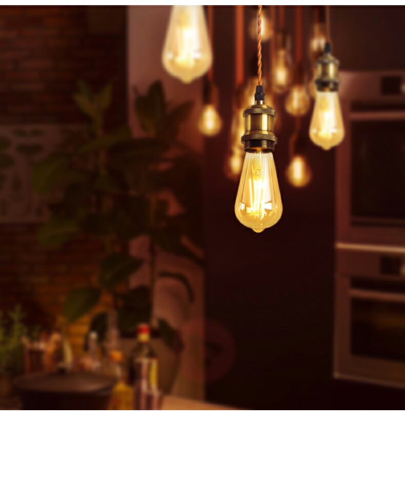 流木インテリア ペンダントライト エジソン電球4灯付 ヴィンテージ