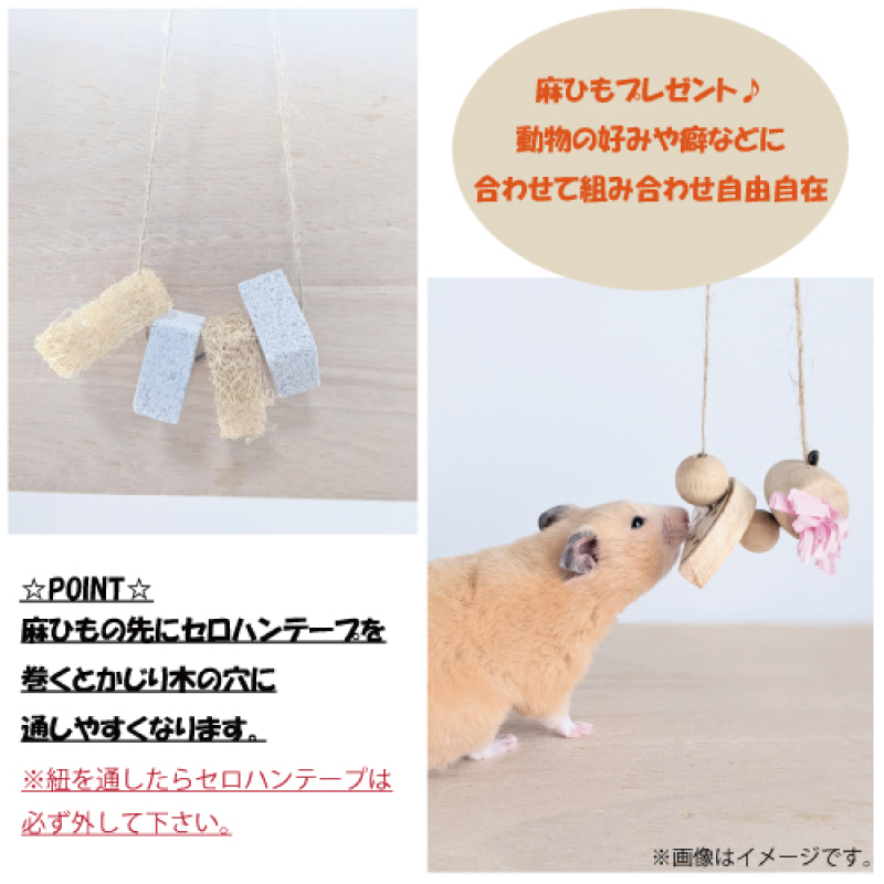 かじり木 お試しセット ミディアムサイズ 送料無料 おもちゃ チンチラ