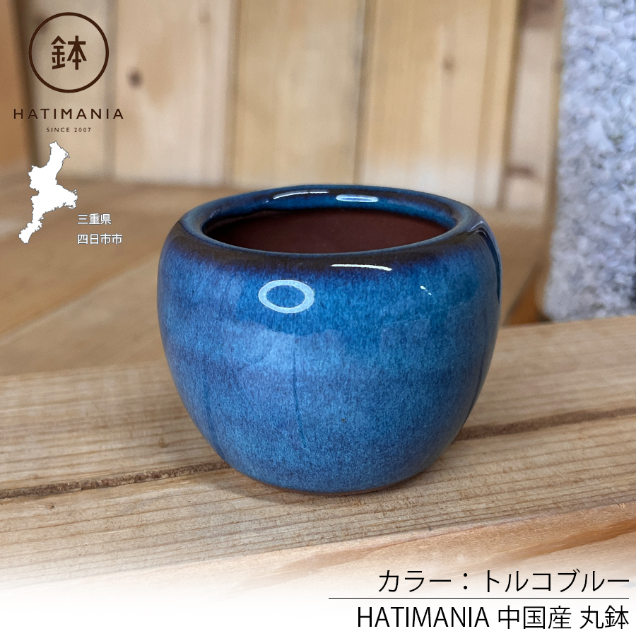 HATIMANIA 鉢マニア 丸鉢 2号 盆栽鉢 水が抜けやすい 小さい 小サイズ