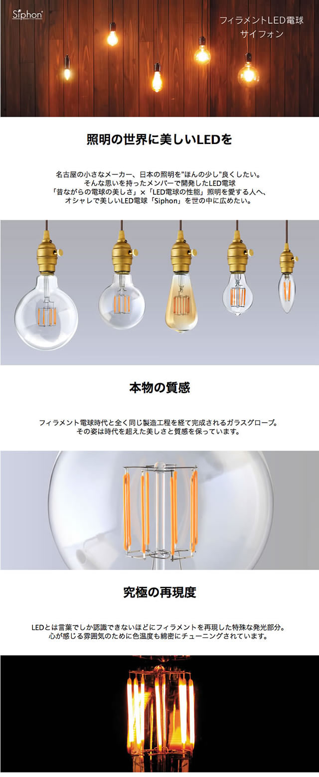 Siphon 3年保証 フィラメントLED電球「Siphon」White ボール70 LDF91D