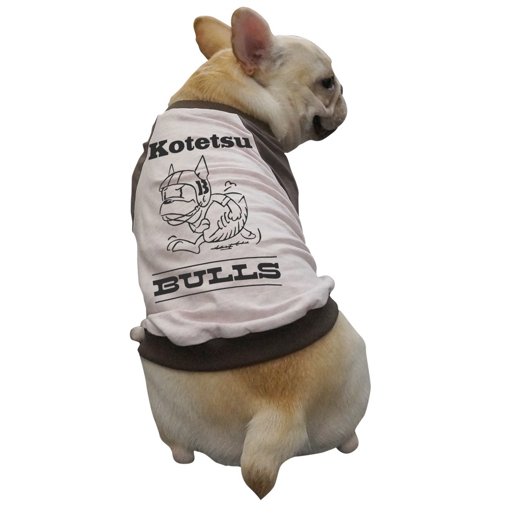 名入れ アメフト ラグラン Tシャツ メール便 送料無料 フレンチ