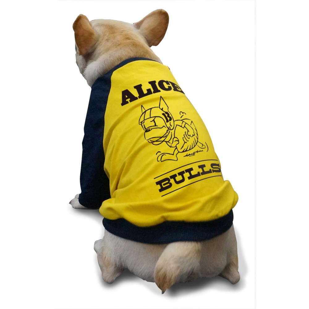 名入れ アメフト ラグラン Tシャツ メール便 送料無料 フレンチ