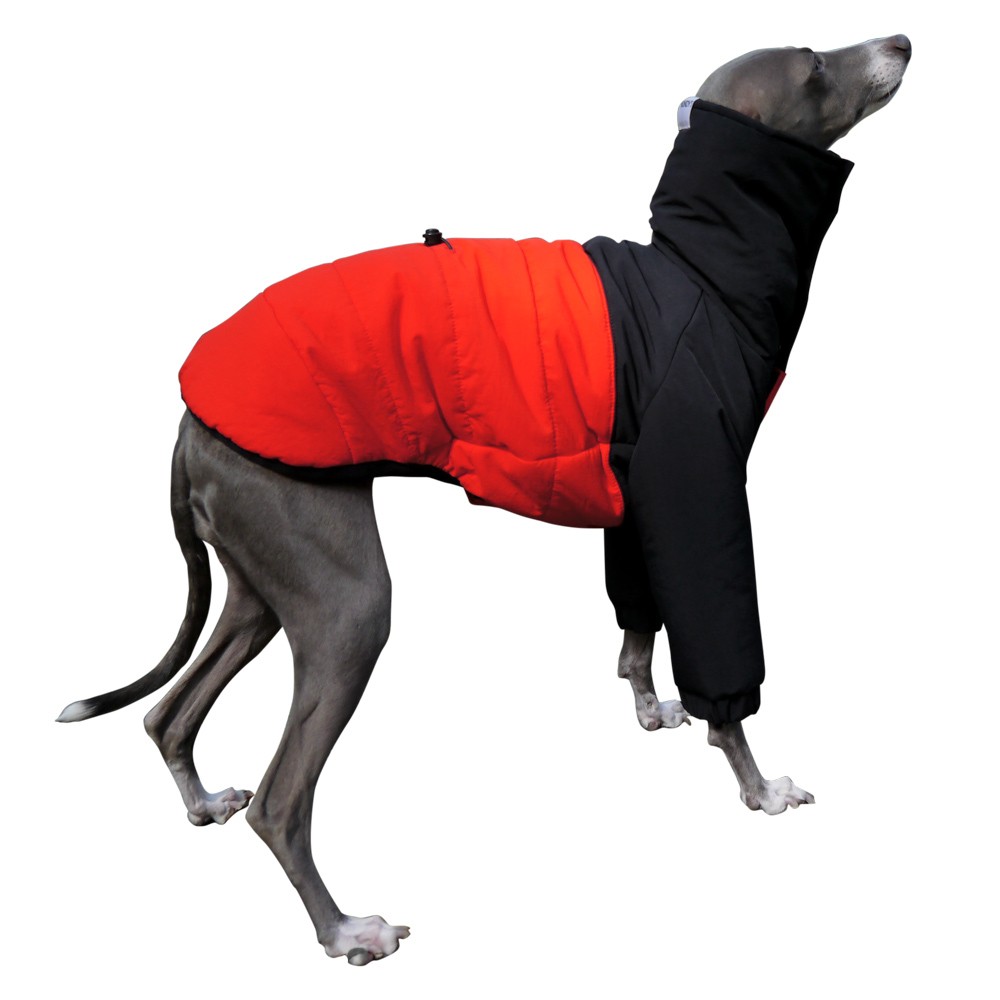 イタグレ 服 フィールド ジャケット イタリアングレーハウンド服 犬服