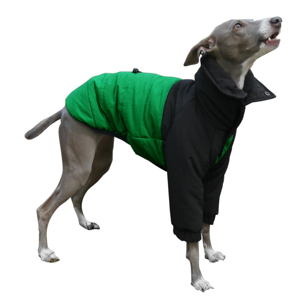 イタグレ 服 フィールド ジャケット イタリアングレーハウンド服 犬服