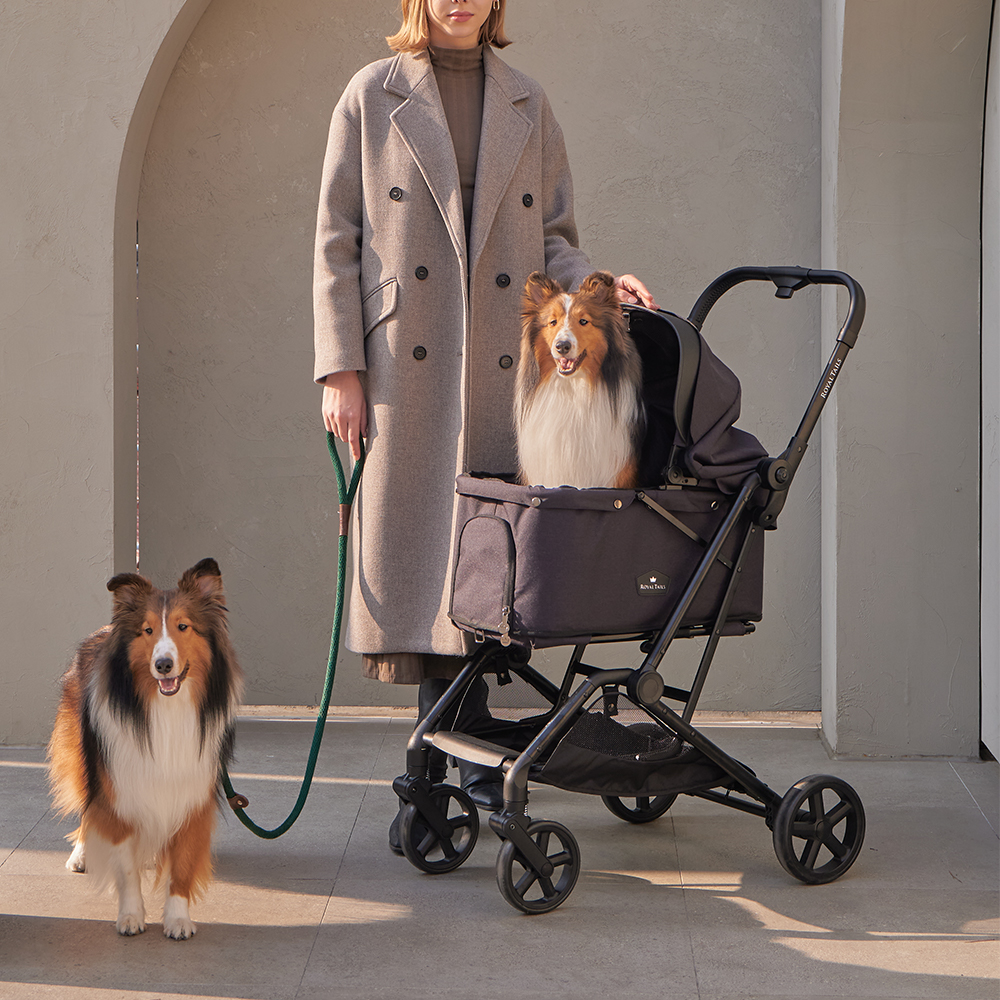 ROYAL TAILS（ロイヤルテイルズ） ROYAL TAILS Florence フローレンス