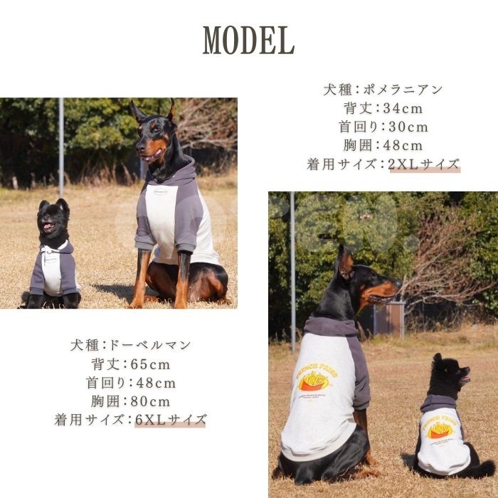 木と鳥の犬の服