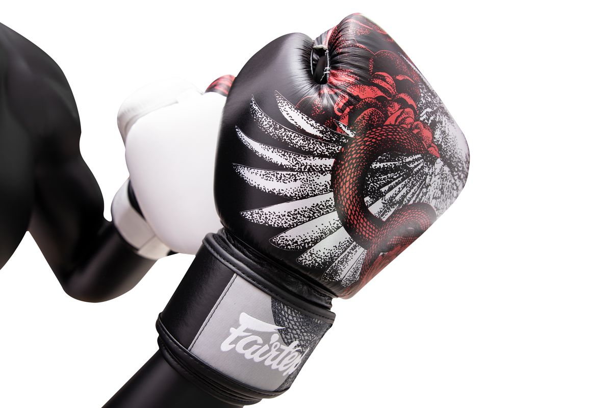 フェアテックス Fairtex ボクシンググローブ BGV24 専用バッグセット