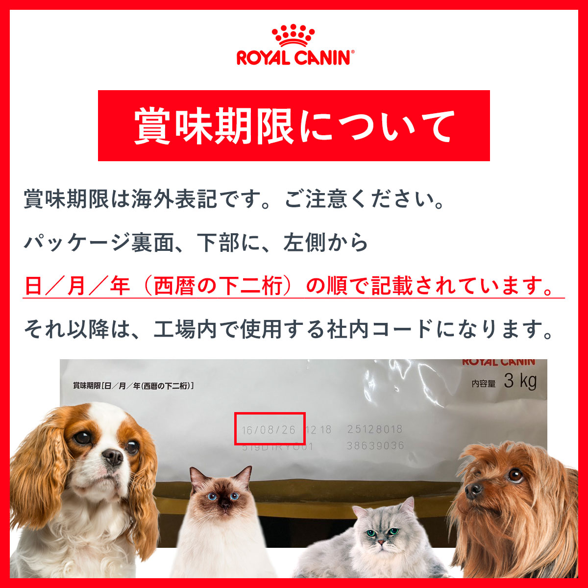 ロイヤルカナン（ROYAL CANIN） 猫 キャットフード エイジング 12＋