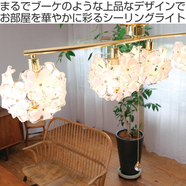 355891-img.jpg