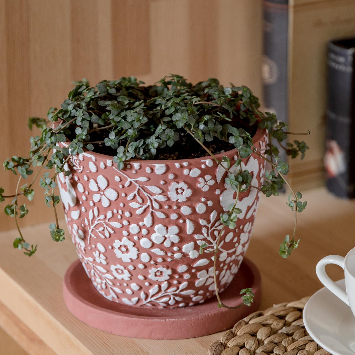 プランター クッカ ポット L （ 植木鉢 プラントポット 鉢植え 鉢 寄せ