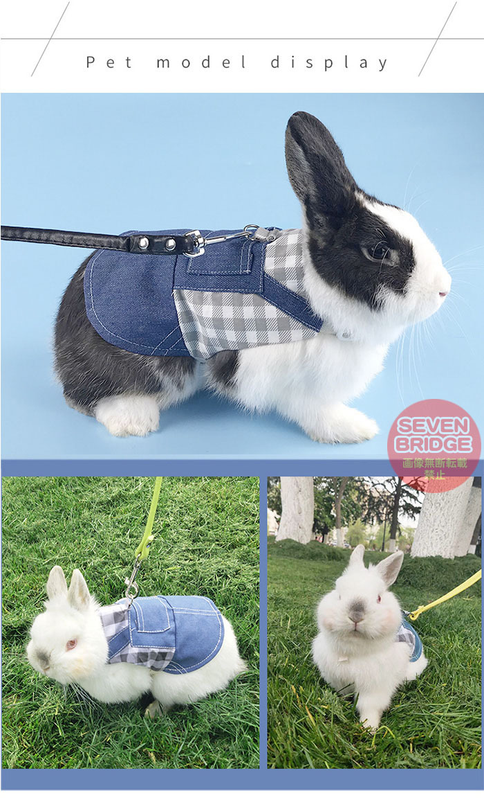 うさぎ ウサギ ハーネス リード 付 小動物 モルモット フェレット