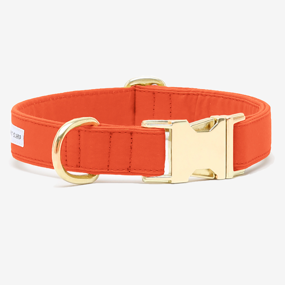 在庫限り 犬 首輪 犬の首輪 See Scout Sleep ザ・スコット 25mm幅 M・L