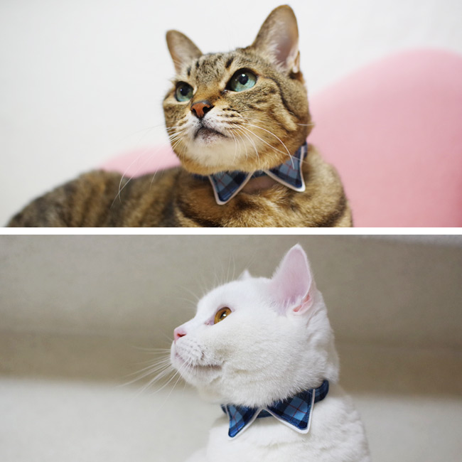 27125_cat03.jpg