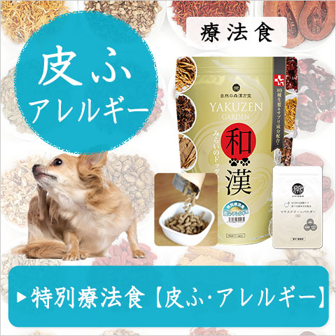 和漢みらいのドッグフード【和漢鹿肉アイケアジュレ】～和漢おやつシリーズ