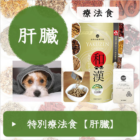 YAKUZEN GARDEN 和漢みらいのドッグフード 1kg×2 YAKUZEN GARDEN 和漢