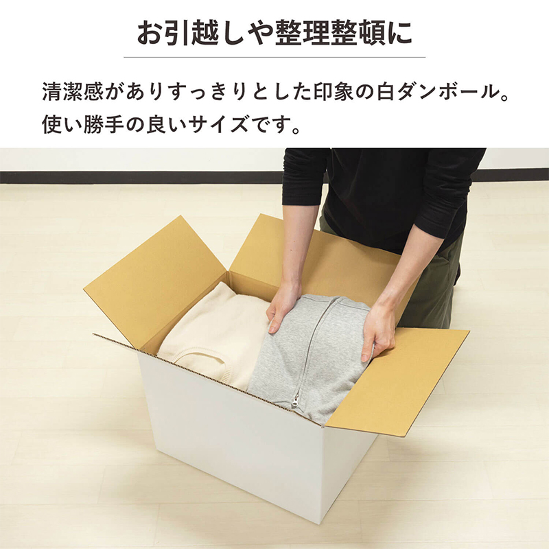 120サイズ白ダンボール 10枚入 46×35.5×32cm 1セット（ご注文単位1