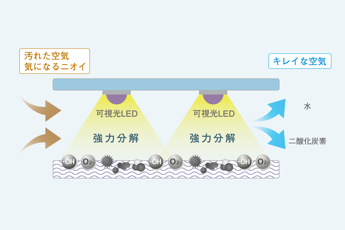 カルテック公式オンラインストア Turnedk Online Store / KL-G01