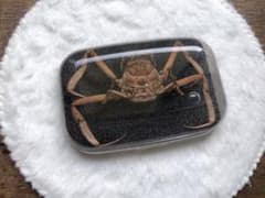 壇ノ浦 平家怨霊人面蟹 サムライガニ - メルカリ