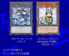 m59083818033_1.jpg?1758932031