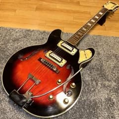 m68724824206_1.jpg?1718005807