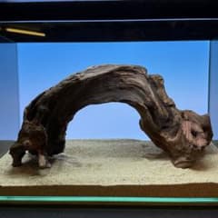 MRW-7239 自立赤系天然流木 アーチ流木 45cm水槽用流木 アクアリウム