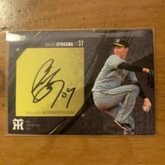 m61726526550_1.jpg?1714906646