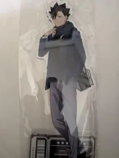 2026年最新】コスモワールド アクリルスタンド 特大の人気アイテム