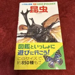 2026年最新】昆虫 標本 販売の人気アイテム - メルカリ