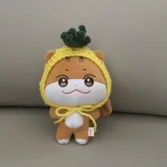 2026年最新】Aniteez チュンラミの人気アイテム - メルカリ