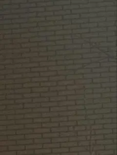 2026年最新】108フラワーズ Revised BOX 英語の人気アイテム - メルカリ