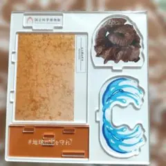 2026年最新】国立科学博物館ミュージアムグッズの人気アイテム - メルカリ