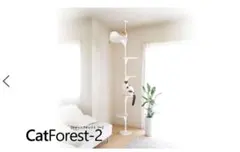 2026年最新】OPPO オッポ キャットフォレストの人気アイテム - メルカリ