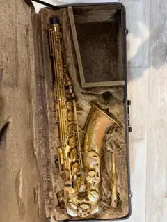 2026年最新】ヤナギサワ 900の人気アイテム - メルカリ